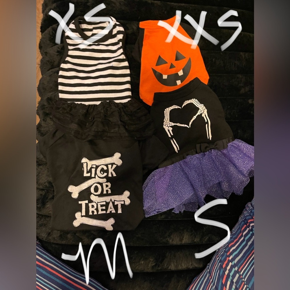 Halloween dog shirts